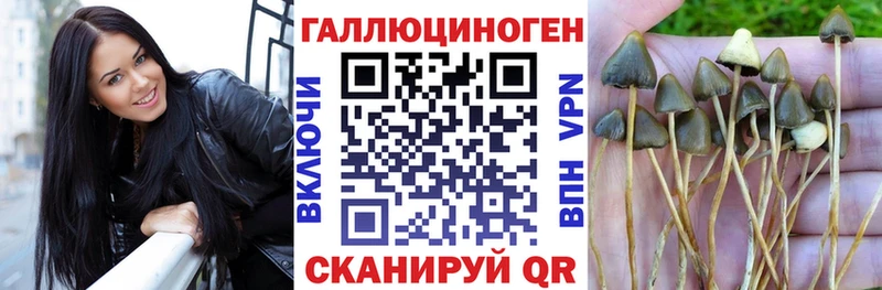 где купить наркотик Обь Галлюциногенные грибы прущие грибы